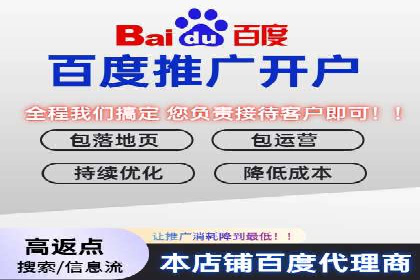 热门SEM运营公司案例深度剖析